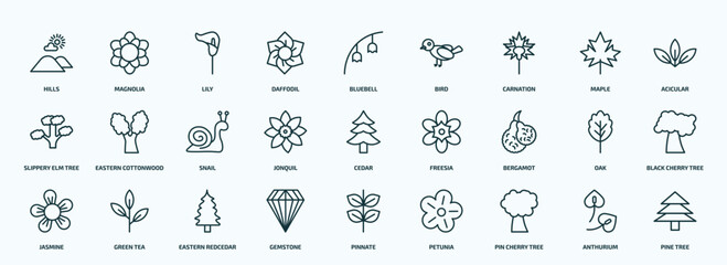 special lineal nature icons set. outline icons such as hills, daffodil, carnation, slippery elm tree, jonquil, bergamot, jasmine, gemstone, pin cherry tree, anthurium line icons.