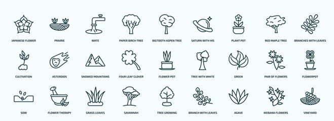 special lineal nature icons set. outline icons such as japanese flower, paper birch tree, plant pot, cultivation, four leaf clover, green, sow, savannah, agave, ikebana flowers line icons.