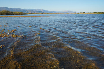 Ornithological bay with mountains in the background in Aliki beach Aigio, Greece 