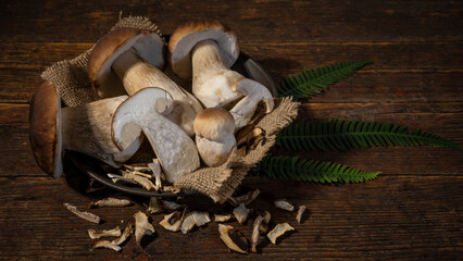Dark food photography background - Forest mushrooms / Boletus edulis (king bolete) / penny bun / cep / porcini / mushroom and fern on metal bowl on table.