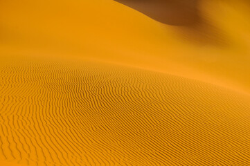 Sand dunes in the Dubai