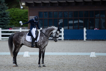 A young rider on a gray horse during the dressage competition in the arena. Greetings for the judges.