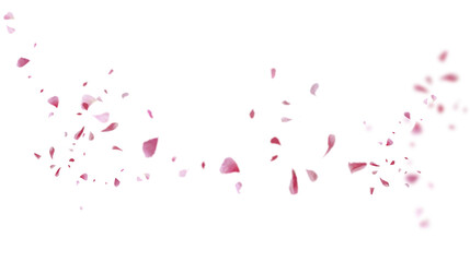 Beautiful floral overlay with flying pink petals at transparent background 