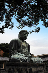 Kamakura buddha, Temple Japan.