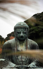 Kamakura buddha, Temple Japan.