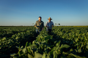 Two farmers in a field examining soy crop.