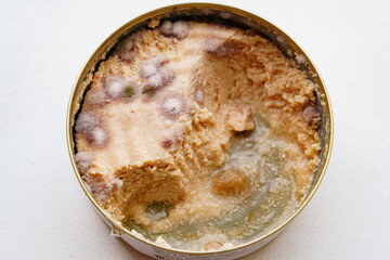 multi-colored mold on canned food. spoiled products. on a white background. 