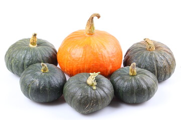 pumpkin isolated on white background