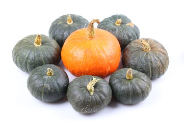 pumpkin isolated on white background