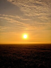 Sunrise in the misty forest
