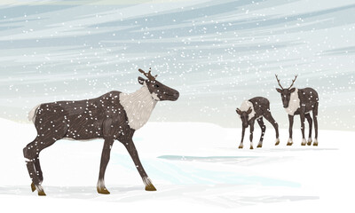 Herd of reindeer in a snow storm. Caribou in the Arctic. Realistic vector landscape