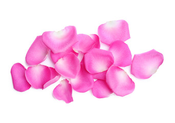 Fototapeta premium Many pink rose petals on white background, top view