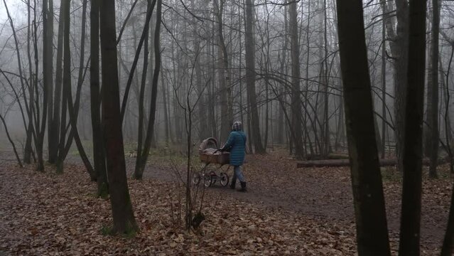 Girl with the baby carriage is walking in a leafless foggy autumn forest.