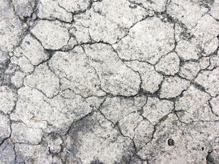 Cracked concrete texture closeup background.