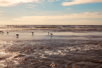 Beautiful seashore at golden sunset