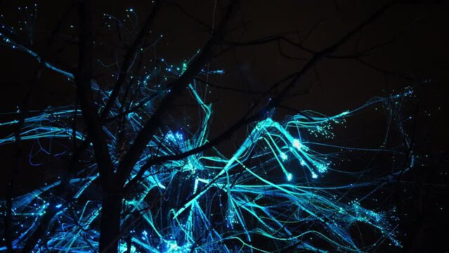 Soft focusof blue led neon thread lights sway on the branches of dark tree low light on black night, handheld shot.
