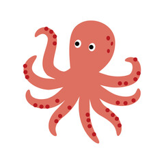 octopus illustration
