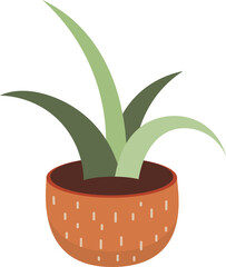 Green Potted Plant Decorative Houseplant. Isolated Illustration on Transparent Background 