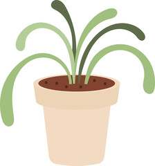 Potted Plant Decorative Houseplant in White Pot. Isolated Illustration on Transparent Background 
