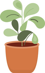 Potted Plant Decorative Houseplant in Ceramic Pot. Isolated Illustration on Transparent Background 