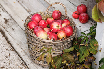 large wicker basket with red apples