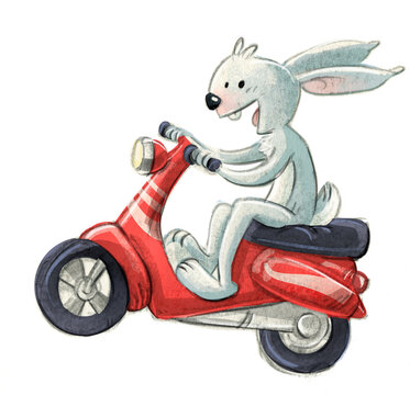 illustration of rabbitt driving a motorcycle