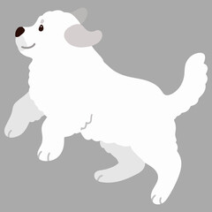 Simple and adorable Great Pyrenees Dog illustration jumping flat colored