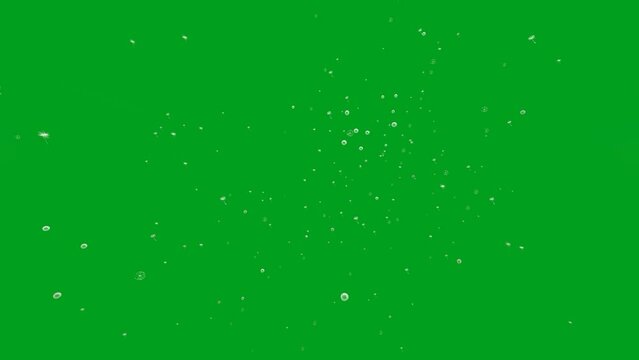 Green screen animation video of flower pollen flying in the wind
