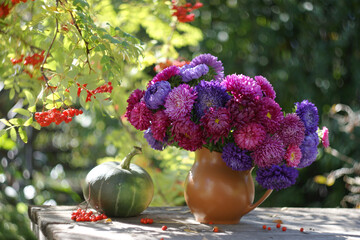 A bouquet of colorful asters in a clay jug in an autumn sunny garden. Still life with flowers