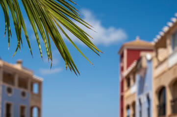 Palm tree leaves framed by a blue sky and a traditional Spanish building which can be seen in the background