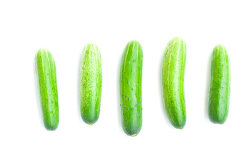 Fresh green cucumbers isolated on white background, Organic vegetables, Herbal plant, Food ingredient