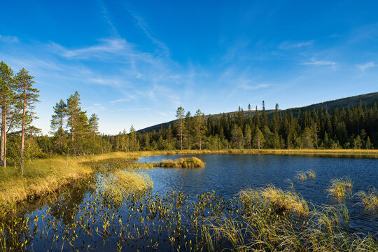 Fulufjallet National Park in Dalarna, Sweden. Popular tourist destination for hiking.