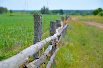 old wooden fence in the field