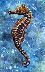 Seahorse of an unusual shape, against the background of the sea depths. Watercolor drawing.