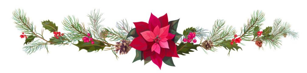Panoramic view with red poinsettia flower (New Year Star), pine branches, cones, holly berry. Horizontal border for Christmas on white background. Realistic illustration in watercolor style. Vector