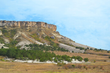Beautiful mountain among the trees