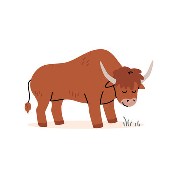 Cute brown yak. Vector illustration. Funny hand drawn safari character. Happy buffalo isolated on white background.