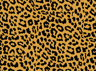 Seamless leopard pattern, animal print.