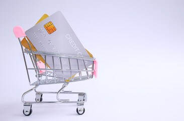 credit card and is engaged in online shopping, e-commerce, internet banking, and money expenditure.