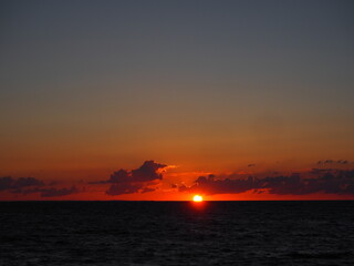 Naklejka premium OLYMPUS DIGITAL CAMERA