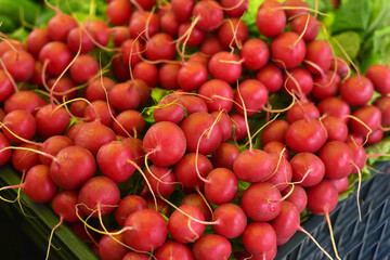 Lots of radishes on the market