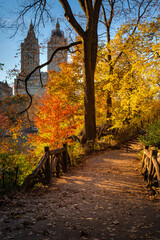 Central Park New York City in full Autumn colors. Walking trail in The Ramble on Upper West Side of Manhattan