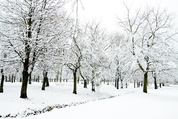 Fototapeta premium Landscape - winter attack in autumn city park covered with snow