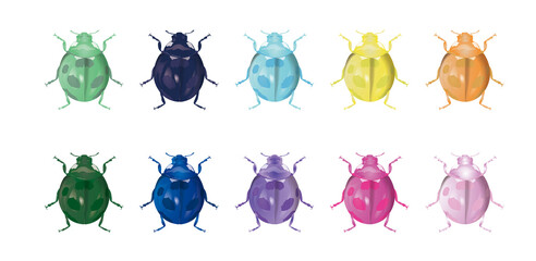 vibrant ladybug カラーテントウムシ set2