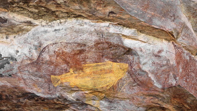 Aboriginal rock art: favorite food of barramundi and mullet fishes. Ubirr-Kakadu-Australia-188