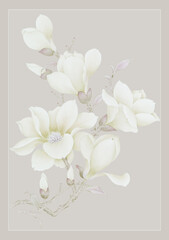 Hand painted magnolia, suitable for cards, fabrics, backgrounds 