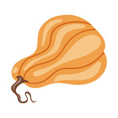 Vector clipart with a beautiful pumpkin. Pumpkin illustration.