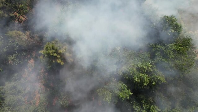 Firefighter truck and fire in the forest. Firefighter car inside the forest. Natural Disaster. Climate Change. Fire and Smoke in Forest Aerial View