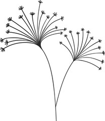 Fennel herb dill plant umbrella flower twig icon