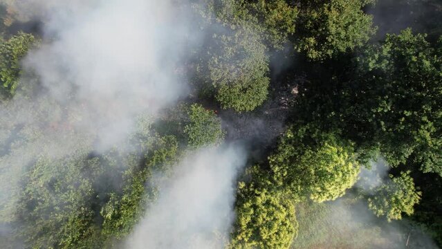 Firefighter truck and fire in the forest. Firefighter car inside the forest. Natural Disaster. Climate Change. Fire and Smoke in Forest Aerial View